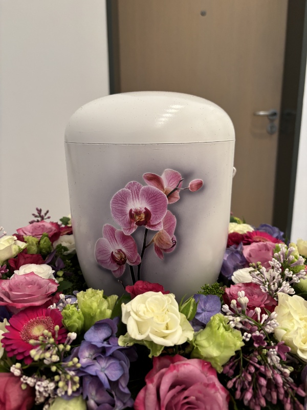 Profilbild von Margarete Engel